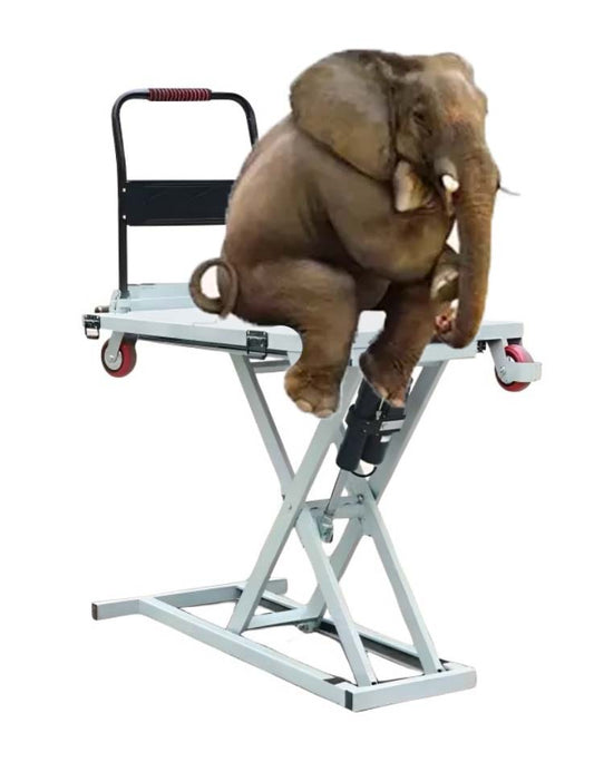 🎉Electric lifting platform🔥(🔥Loads Up To 500KG!)