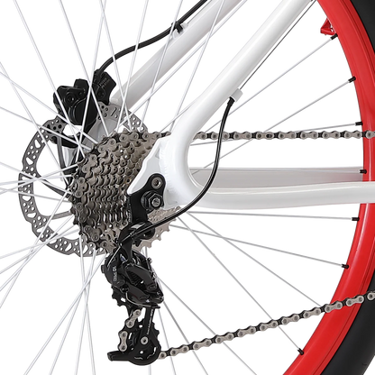 2022 SE Bikes Mike Buff "Fast Ripper" 29''